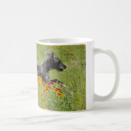 Taza De Café Acechador que corre a través de un campo de flor -
