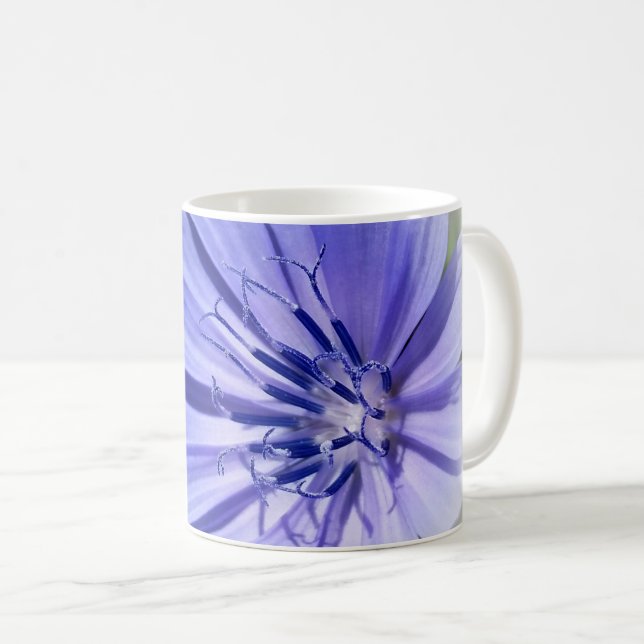 Taza De Café achicoria azul púrpura (Anverso derecho)
