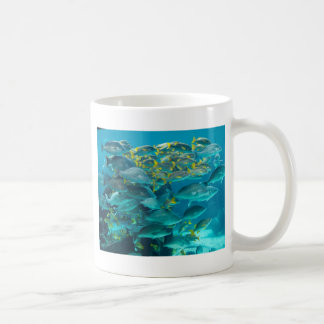 Taza De Café Acuario de los pescados de la Atlántida
