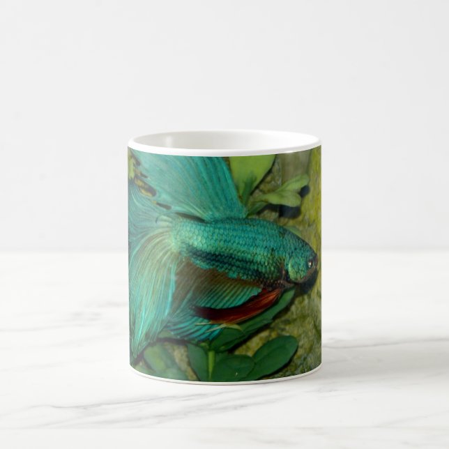Taza De Café Acuario de peces Betta Azul Mug (Centro)