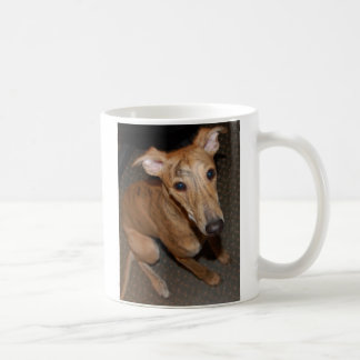 Taza De Café acústico