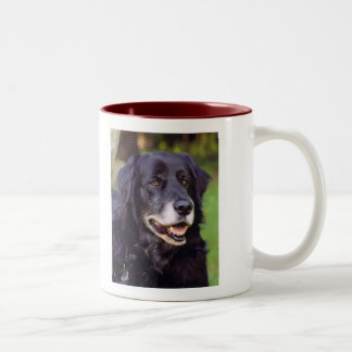 Taza de café adaptable