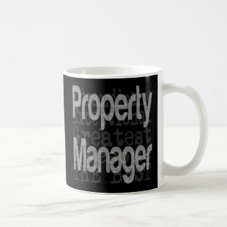 Taza De Café Administrador de propiedades Extraordinaire