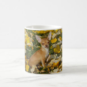 Taza De Café Adorable cachorro Chihuahua entre hojas amarillas