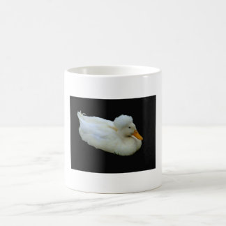 Taza De Café afro-pato, AFRO, pato