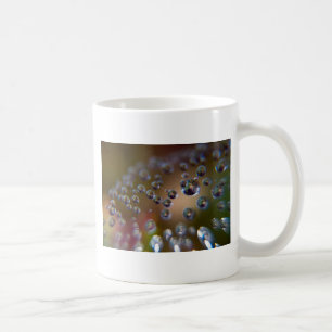 Taza De Café Agua en Movimiento