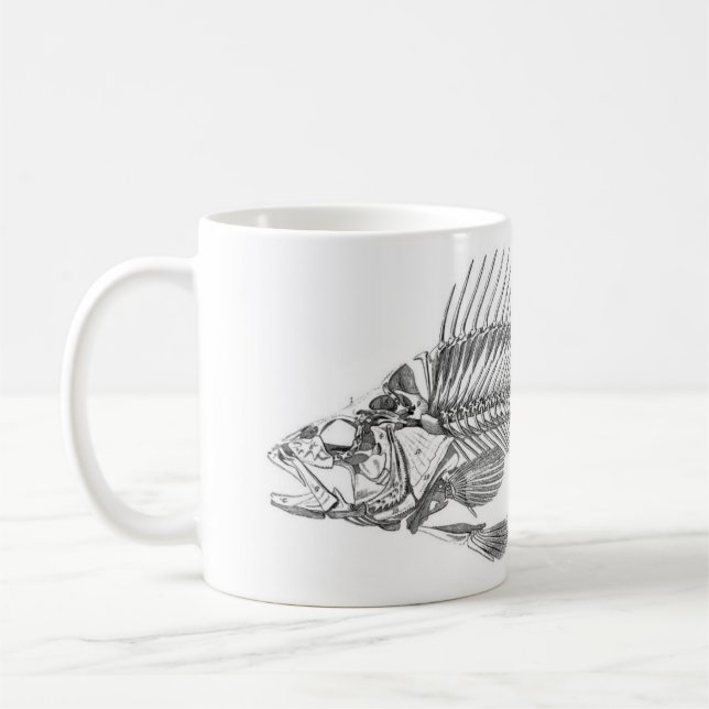 Taza De Café Aguafuerte zoológica clásica - esqueleto de los (Izquierda)