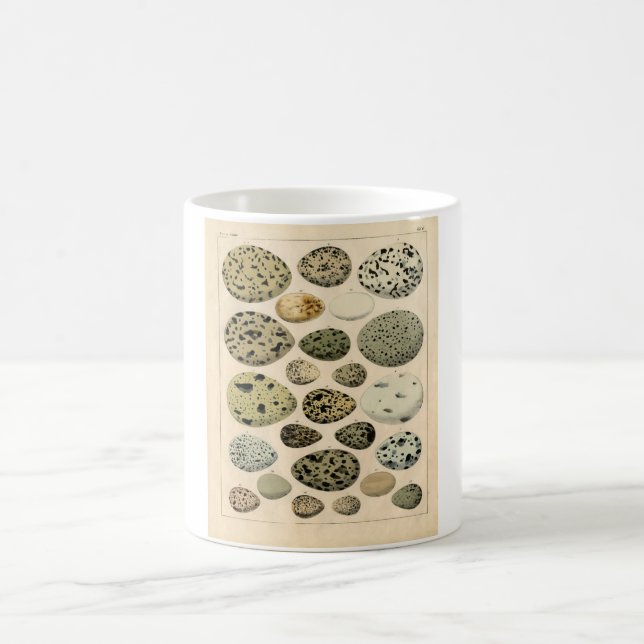 Taza De Café Aguafuerte zoológica clásica - huevos del pájaro (Centro)