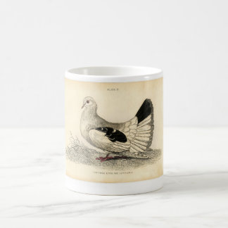 Taza De Café Aguafuerte zoológica clásica - paloma