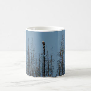 Taza De Café Águila calva americana 8974