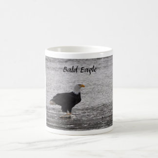 Taza De Café Águila calva en Salmon