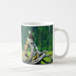 Taza De Café Águila calva posada en rama