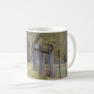 Taza De Café Alambre de ardilla para café
