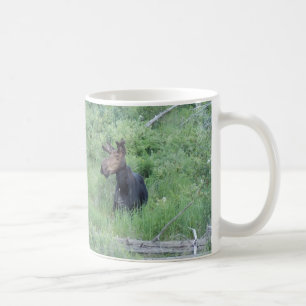 Taza De Café Alces 2 de Greenville