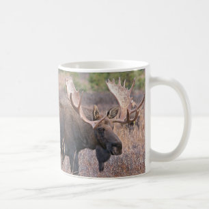 Taza De Café Alces grandes de Bull