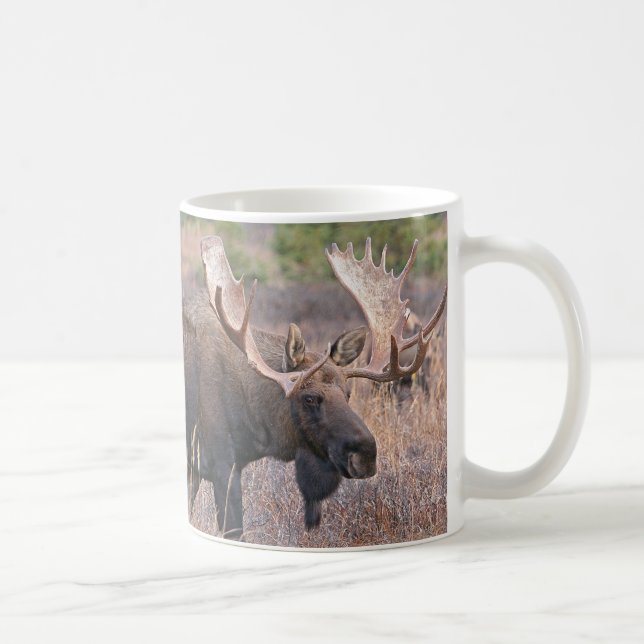 Taza De Café Alces grandes de Bull (Derecha)