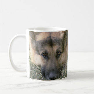 Taza De Café Alemán Shepard