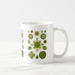 Taza De Café Algas verdes
