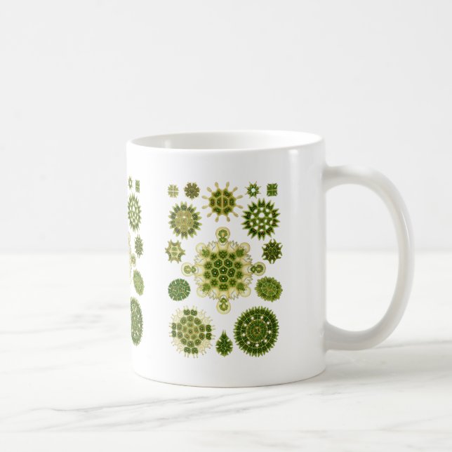 Taza De Café Algas verdes (Derecha)