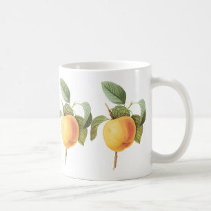 Taza De Café Alimento de Frutas Antiguas, Manzana Calville por 