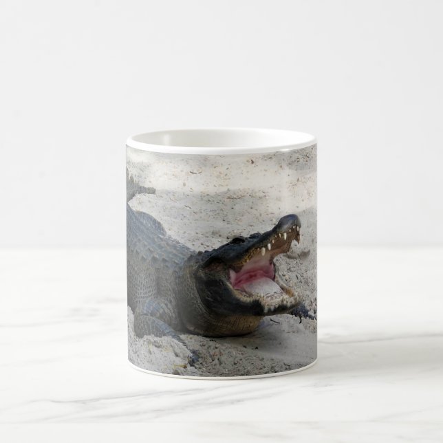 Taza De Café Alligator, Fort Lauderdale, Florida (Centro)