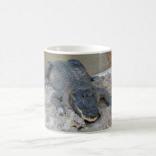 Taza De Café Alligator, Fort Lauderdale, Florida