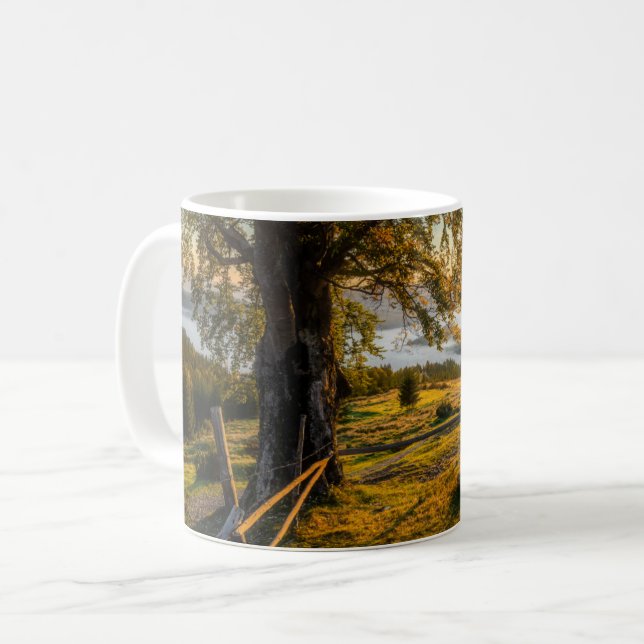 Taza De Café Amanecer oxidado en un bosque (Anverso izquierdo)