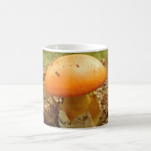 Taza De Café Amanita Caesarea Mushroom Mug