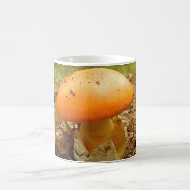 Taza De Café Amanita Caesarea Mushroom Mug (Centro)
