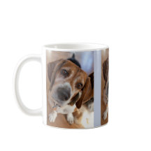 Amante de cachorros 3 fotos personalizadas