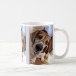 Taza De Café Amante de cachorros 3 fotos personalizadas