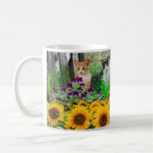 Amantes de Gatos / Girasoles y Felinos