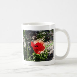 Taza De Café Amapola roja