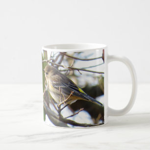 Taza de café Amarilla-rumped de la curruca