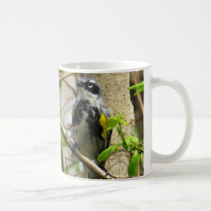 Taza de café Amarilla-rumped de la curruca