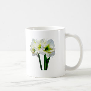Taza De Café Amaryllis Green Princess