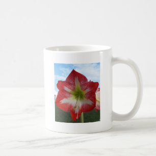 Taza De Café Amaryllis MegaStar rojo y blanco
