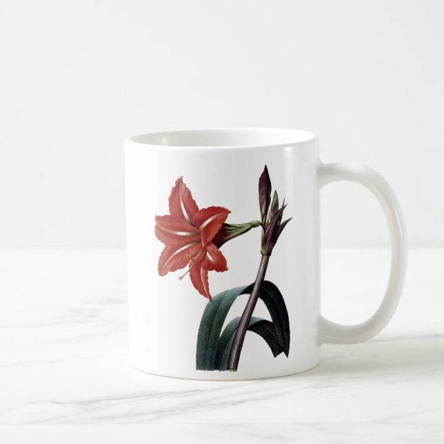 Taza De Café Amaryllis rayado (Derecha)