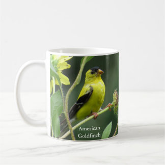 Taza De Café American Goldfinch Mug by Birding Collectibles