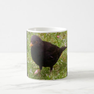 Taza De Café Amigable Mug Blackbird