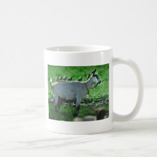 Taza De Café Amigos