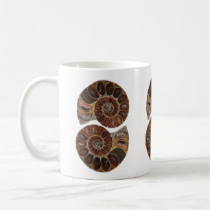 Taza De Café Ammonite Fossils Mug