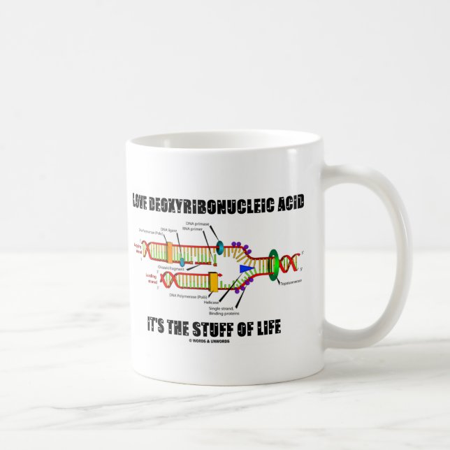 Taza De Café Amo Ácido desoxirribonucleico es la esencia de la  (Derecha)