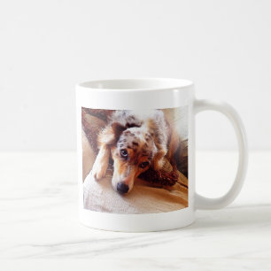Taza De Café ¡Amo mini Aussie!  ¡Starr dulce!