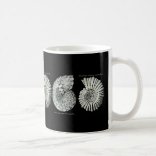 Taza De Café Amonitas