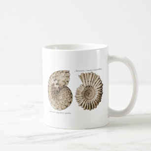 Taza De Café Amonitas