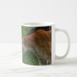 Taza De Café Amor a los tigres