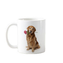 Amor de Golden Retriever