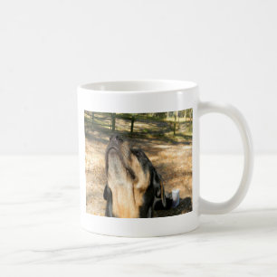 Taza De Café Amor de Rottweiler