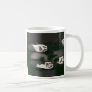 Taza De Café Análisis de gato